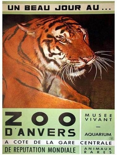 Originele Vintage Poster Antwerpen Zoo, Met lijst, Ophalen of Verzenden, A1 t/m A3, Dier of Natuur