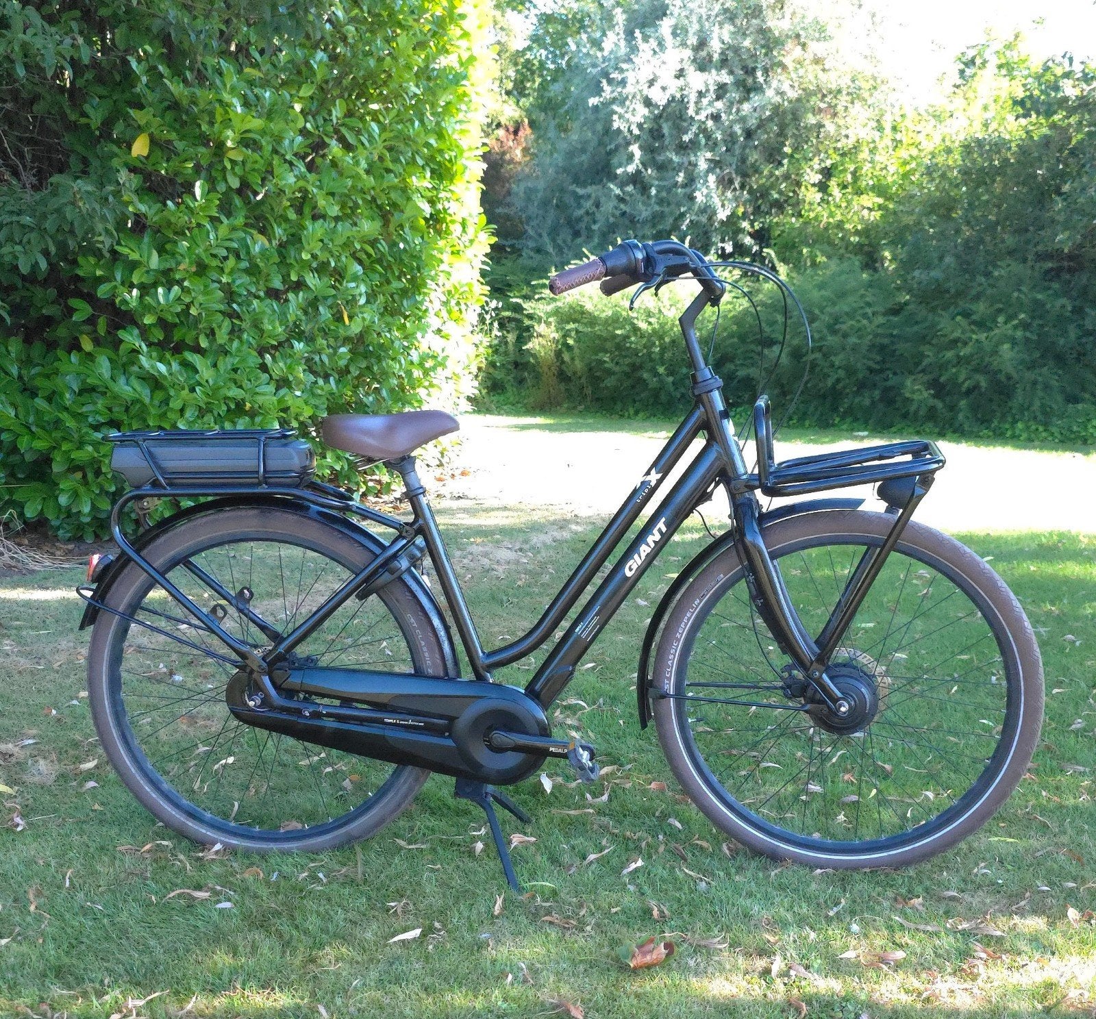 E-bike Giant Triple X Eplus 1 / 2023, Fietsen en Brommers, Elektrische fietsen, Ophalen, Giant, Zo goed als nieuw, 51 tot 55 cm