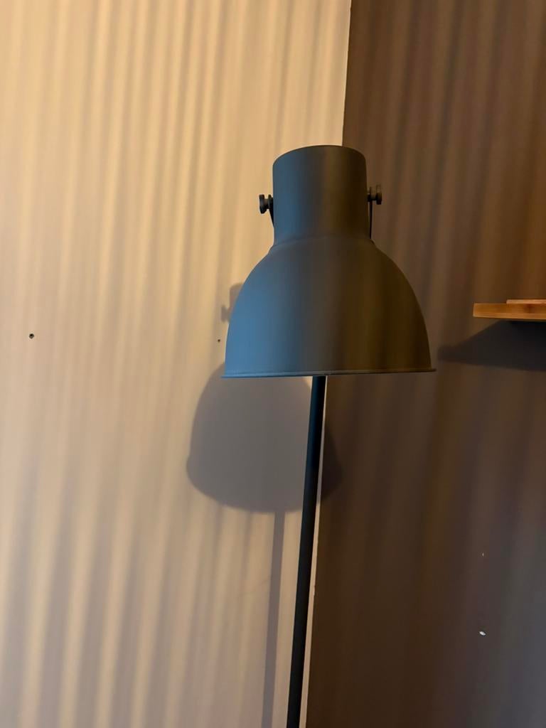 Lamp, Huis en Inrichting, Ophalen, Zo goed als nieuw, Overige materialen, 150 tot 200 cm