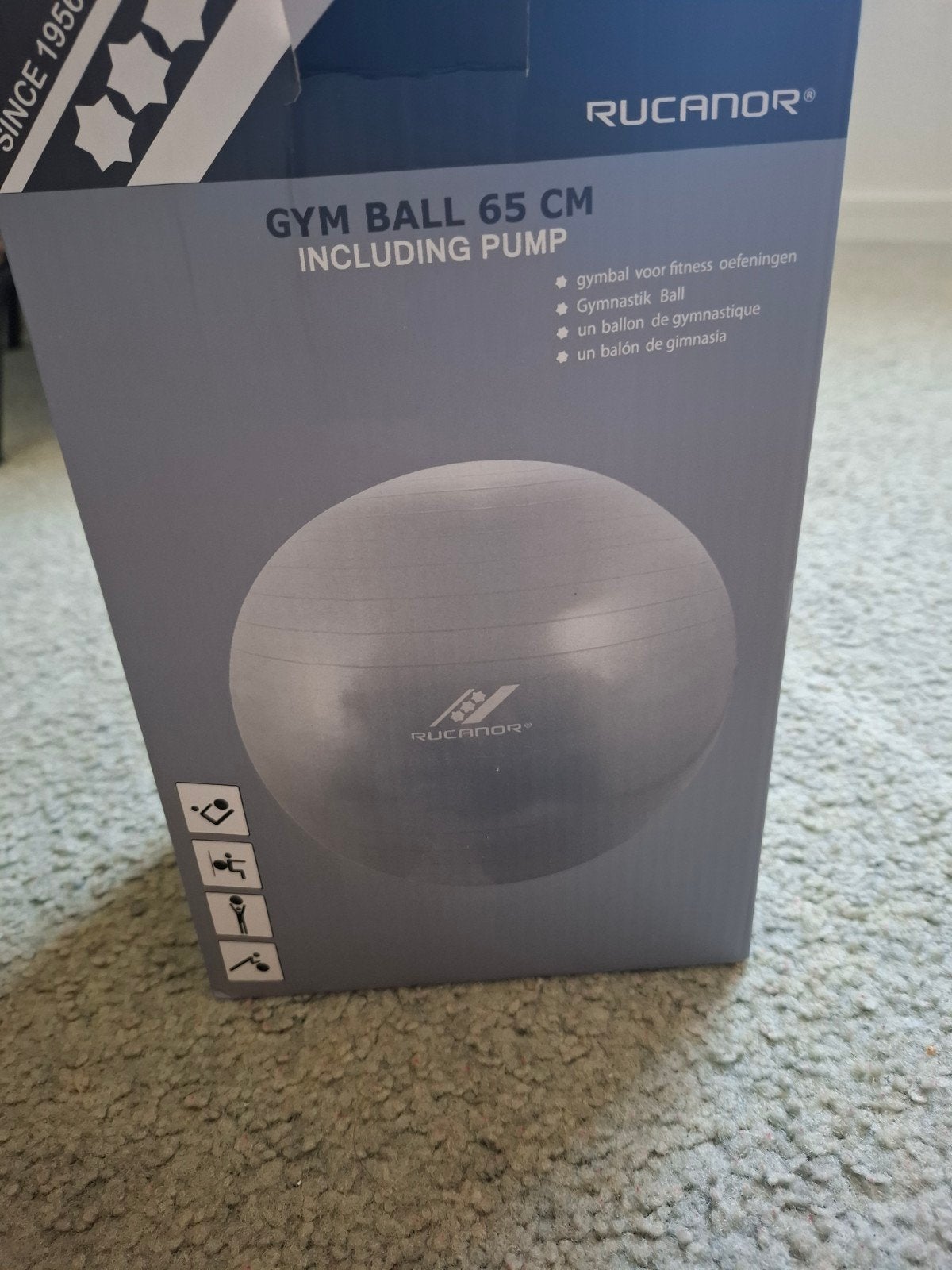 Gymbal 65 cm inclusief pomp Rucanor in doos, Sport en Fitness, Fitnessmaterialen, Ophalen of Verzenden, Nieuw, Buik, Fitnessbal