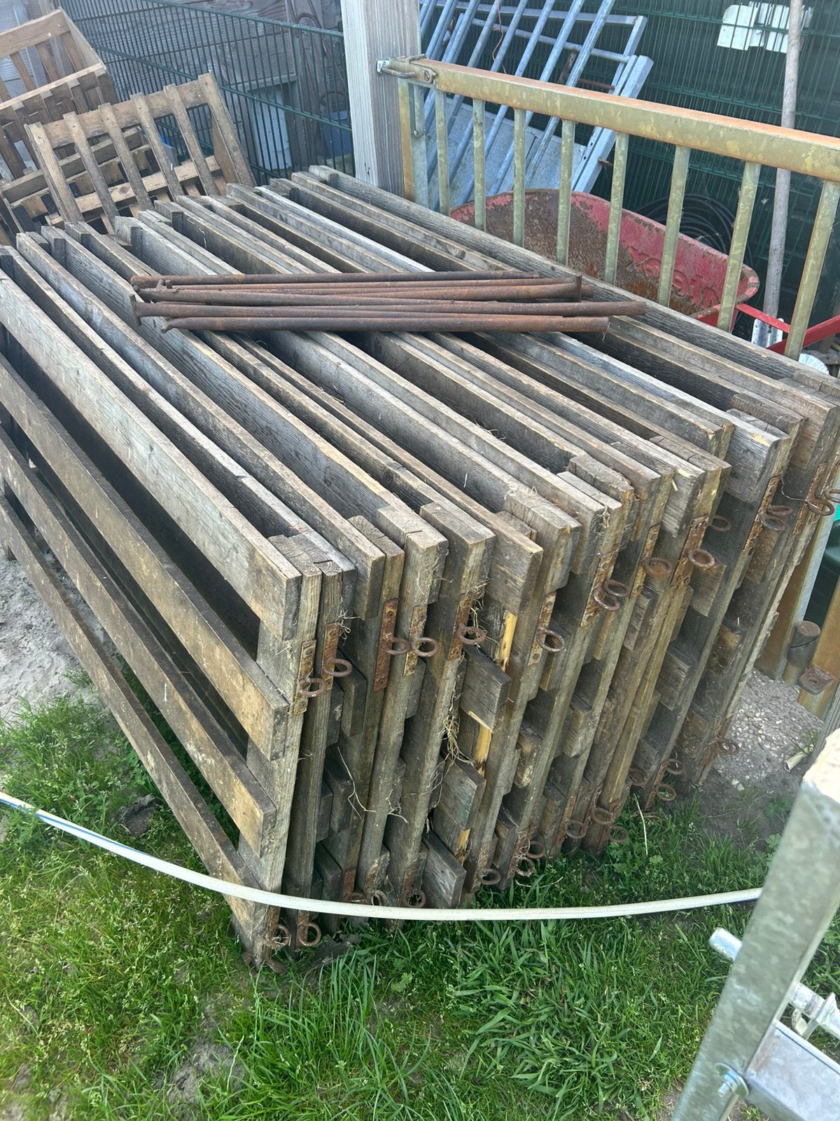 Aflammer hekjes met hooi ruif, Mannelijk, Schaap