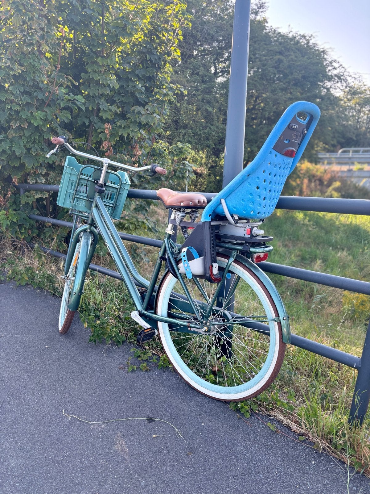 Damesfiets met voordrager en versnellingen, Velgrem, Versnellingen, Ophalen, Overige merken