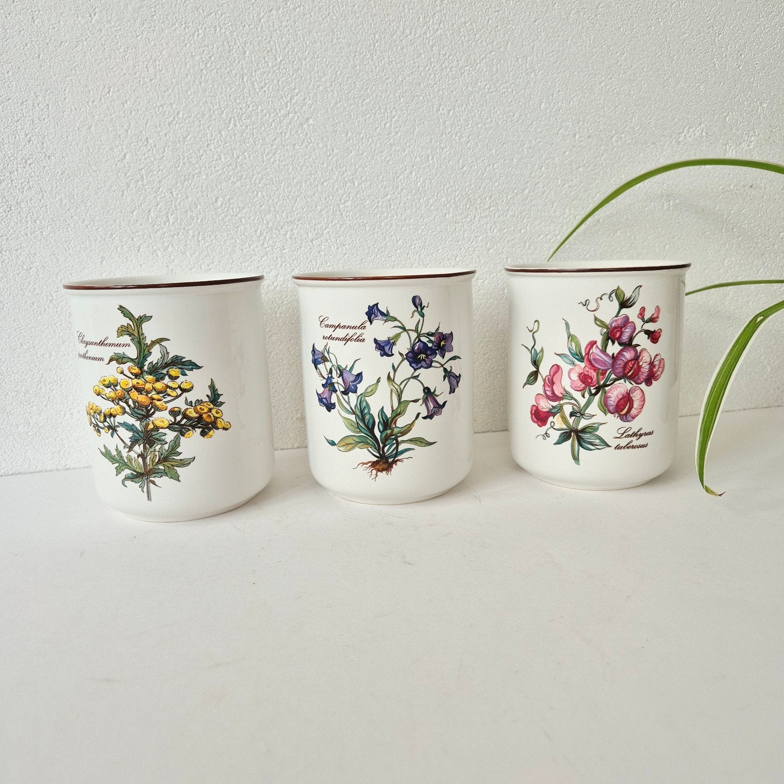 3 potten Botanica Villeroy & Boch, Ophalen of Verzenden, Porselein, Overige stijlen, Overige typen