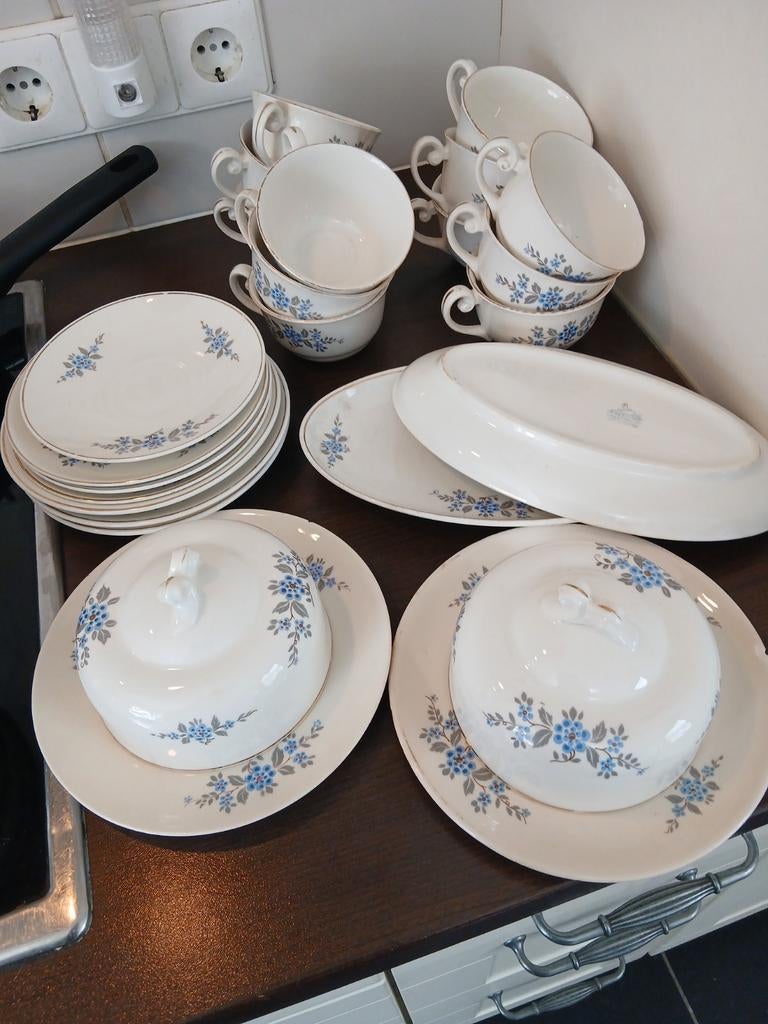 Vintage Servies Set met Blauwe Bloemen - Compleet, Antiek en Kunst, Ophalen