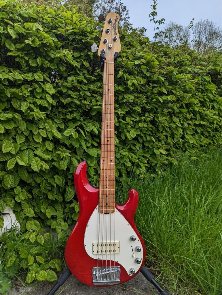 EBMM Stingray 5H uit 1999 incl hardcase en strap, Muziek en Instrumenten, Ophalen, Gebruikt, Elektrisch, 5-snarig