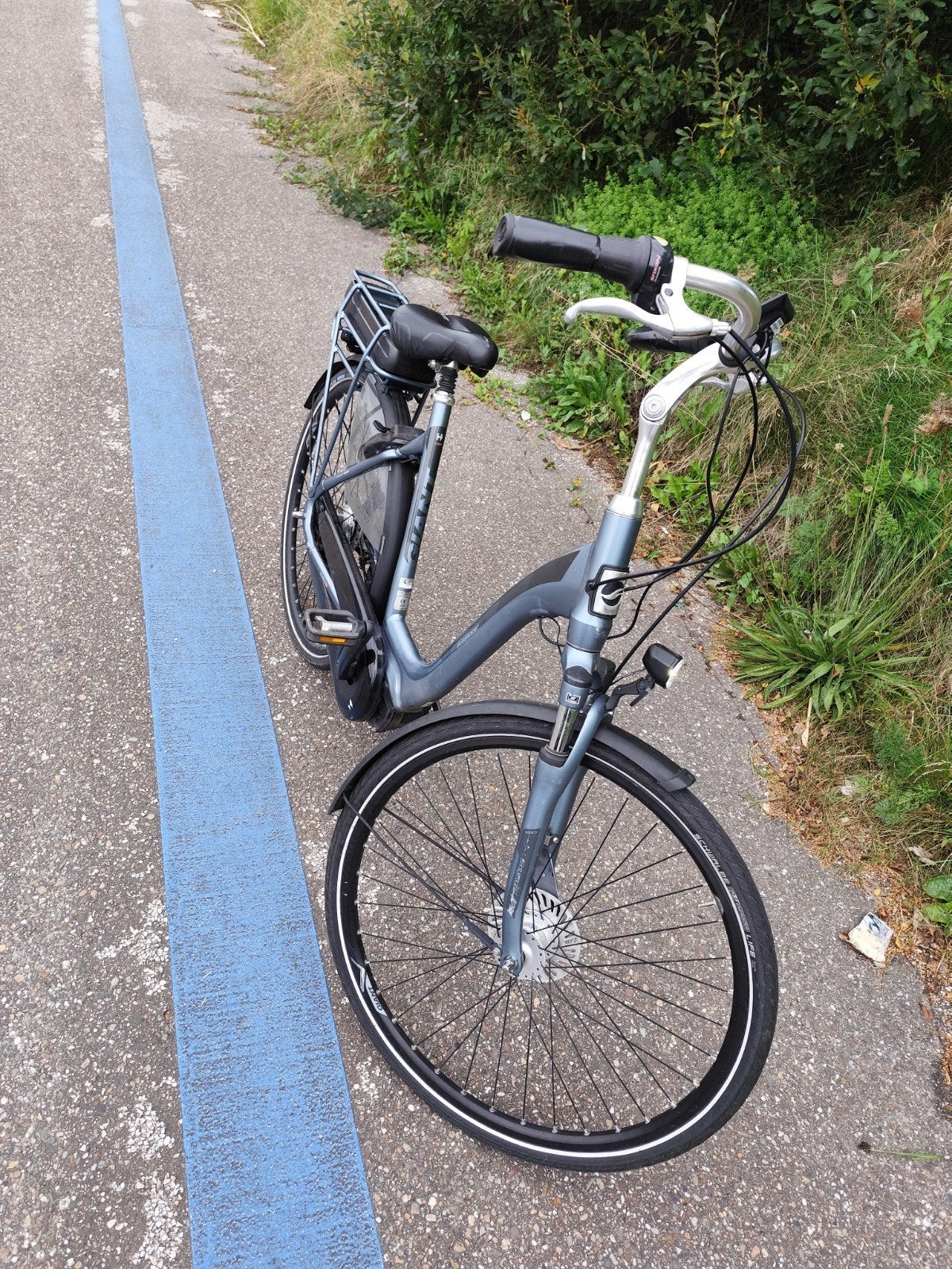Giant Elegance E+ elektrische fiets, Gebruikt, 51 tot 55 cm, 50 km per accu of meer, Giant