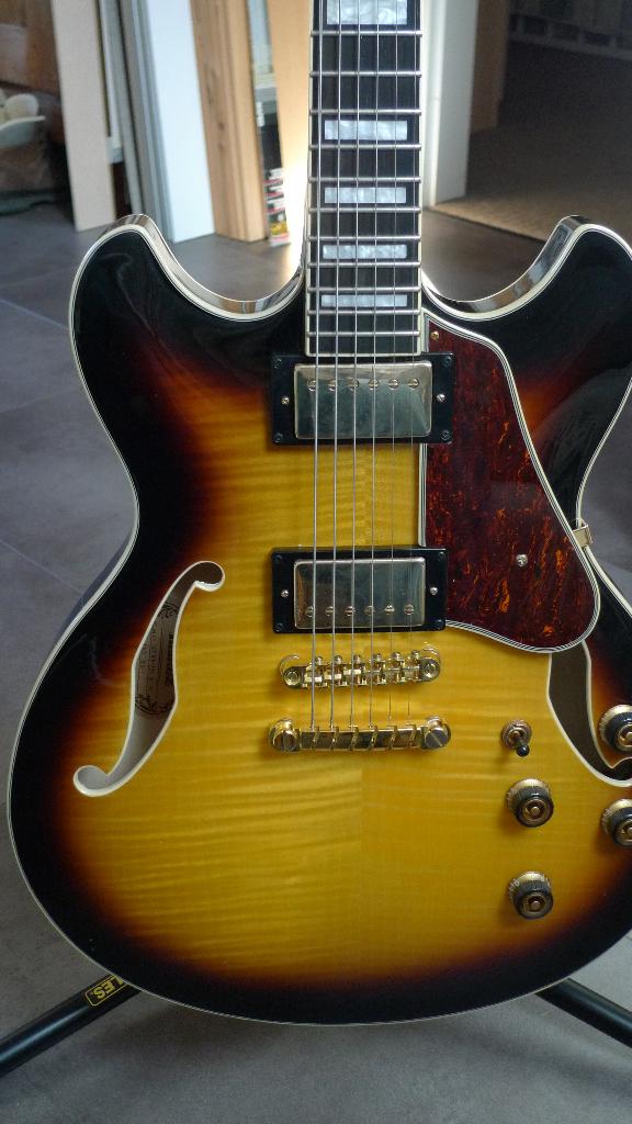 Ibanez, Muziek en Instrumenten, Snaarinstrumenten | Gitaren | Elektrisch, Ophalen, Zo goed als nieuw, Hollow body, Ibanez