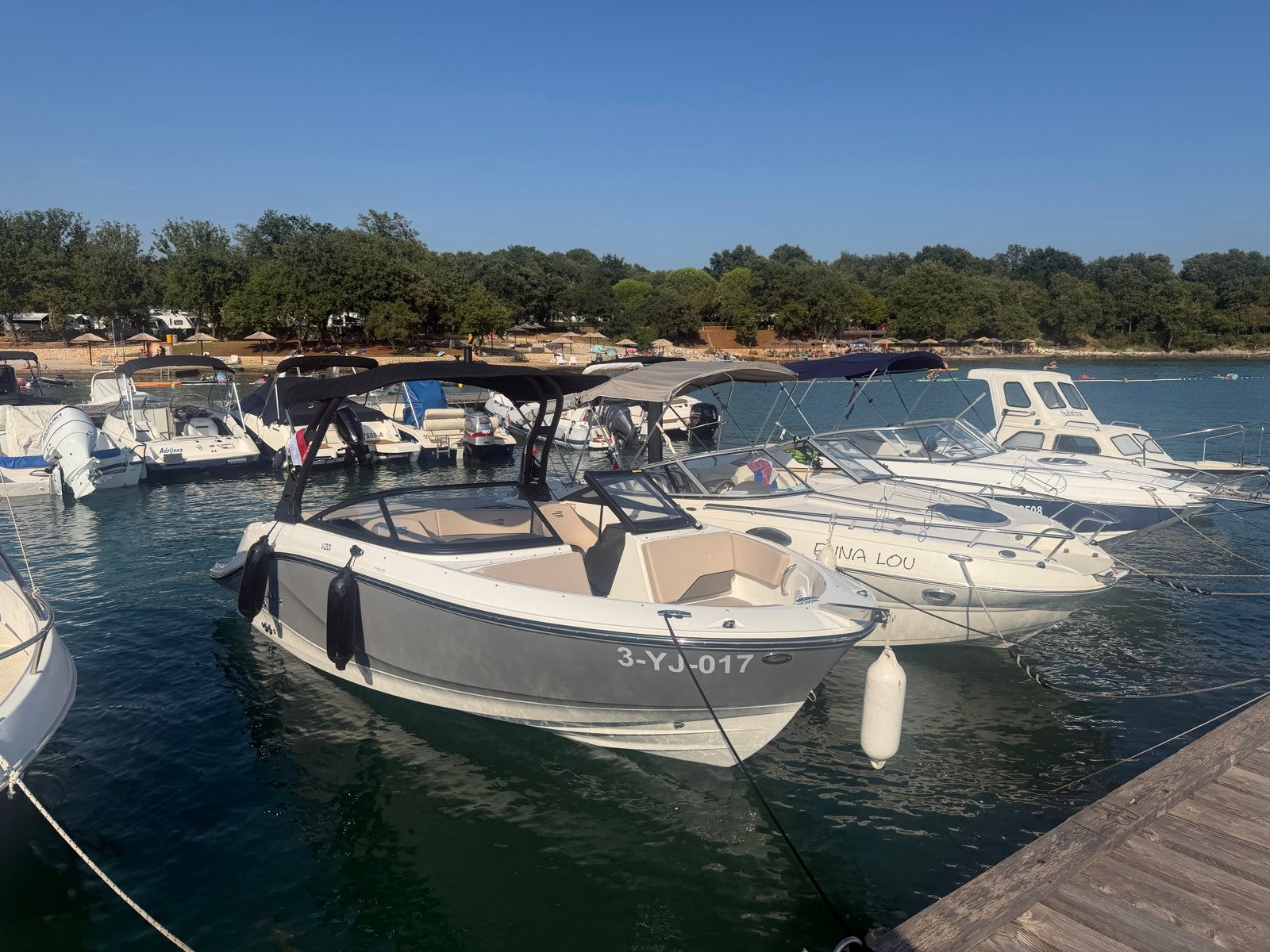 Bayliner V20i- speedboot met trailer 2027 NIEUW EX BTW, Benzine, Binnenboordmotor, Afdekzeil, Nieuw