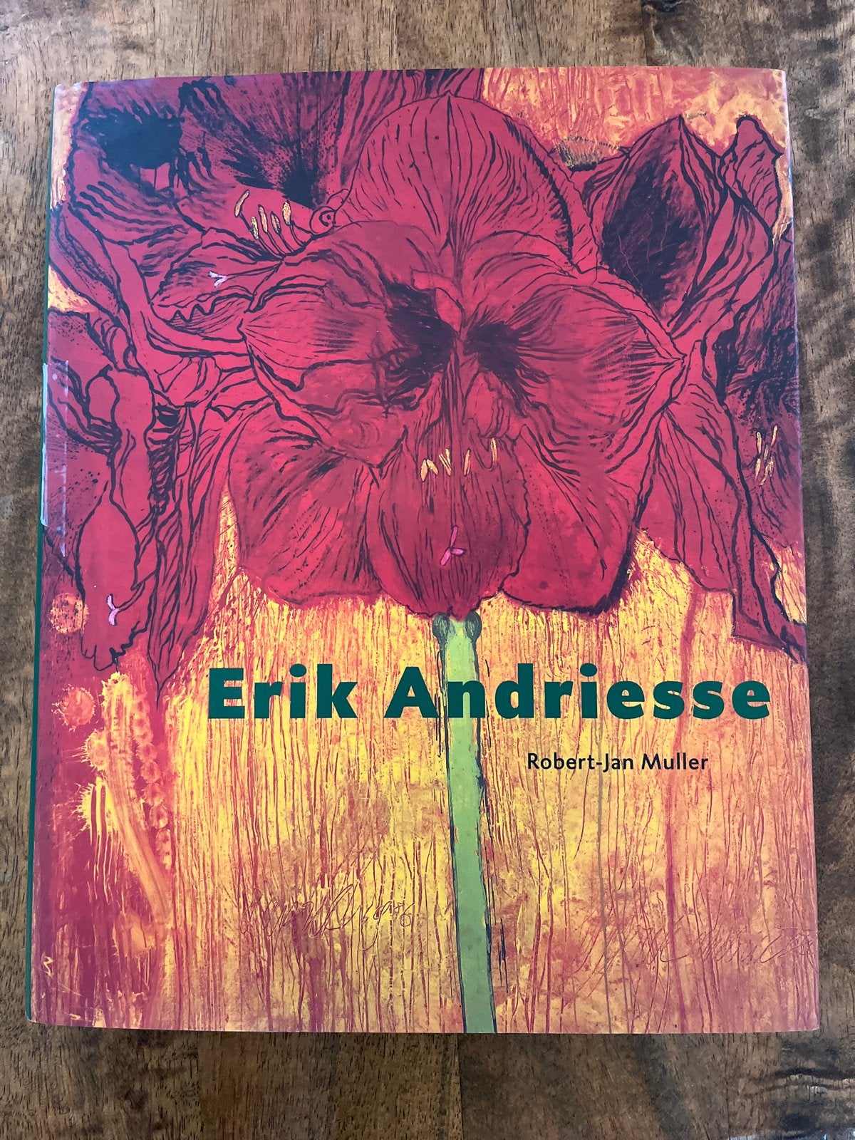 Erik Andriesse - Monografie Nederlandse Kunstenaars, Boeken, Ophalen of Verzenden, Zo goed als nieuw, Schilder- en Tekenkunst