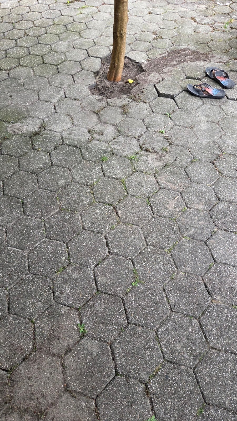 Gebruikte Hexagon Terrastegels - Grijs Beton + opsluitbanden, Tuin en Terras, Tegels en Klinkers, Ophalen, Gebruikt, 10 m² of meer