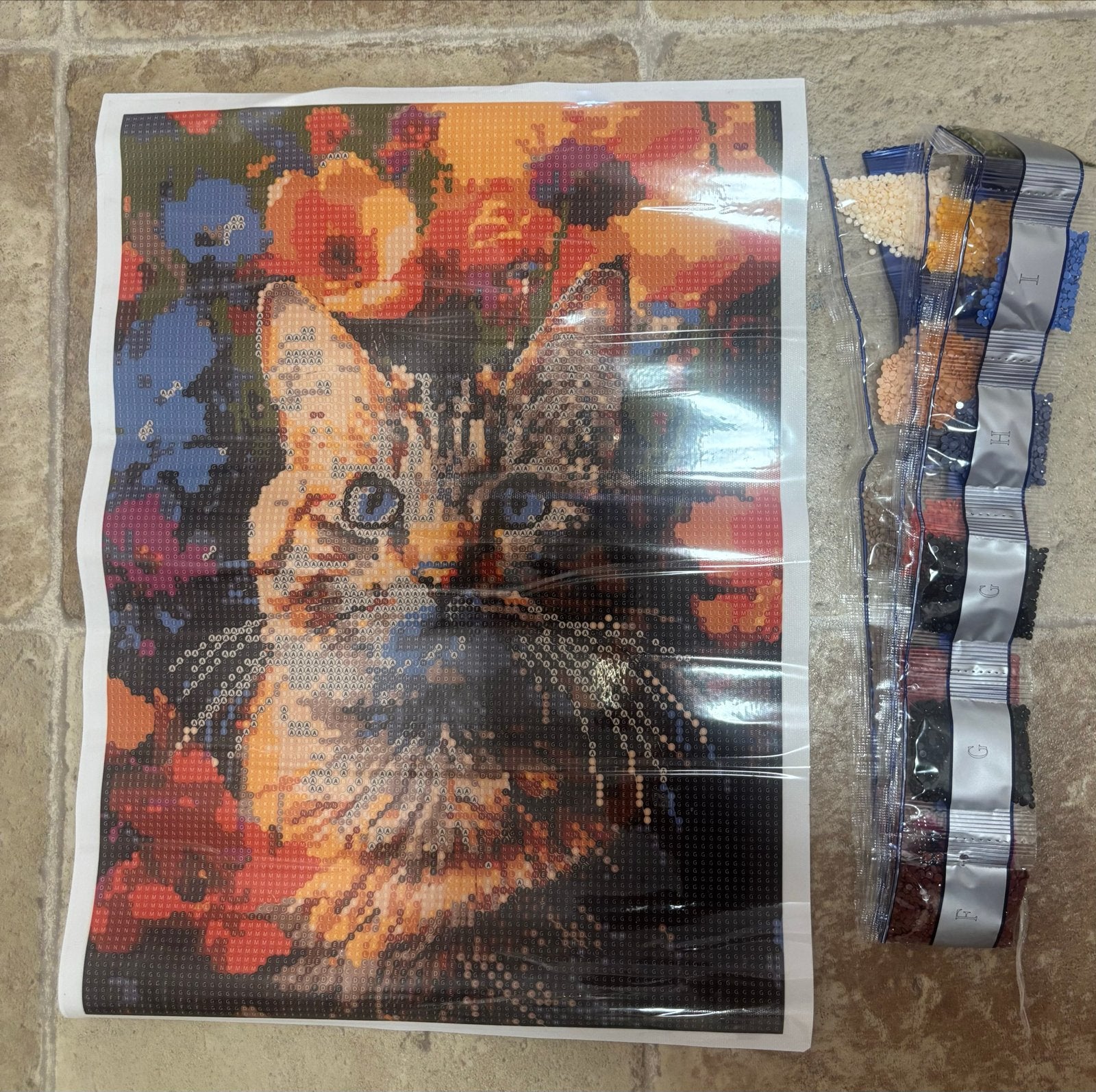 Diamond Painting Kat met Bloemen - Nieuw, Verzenden, Nieuw, Meerkleurig, Kunststof