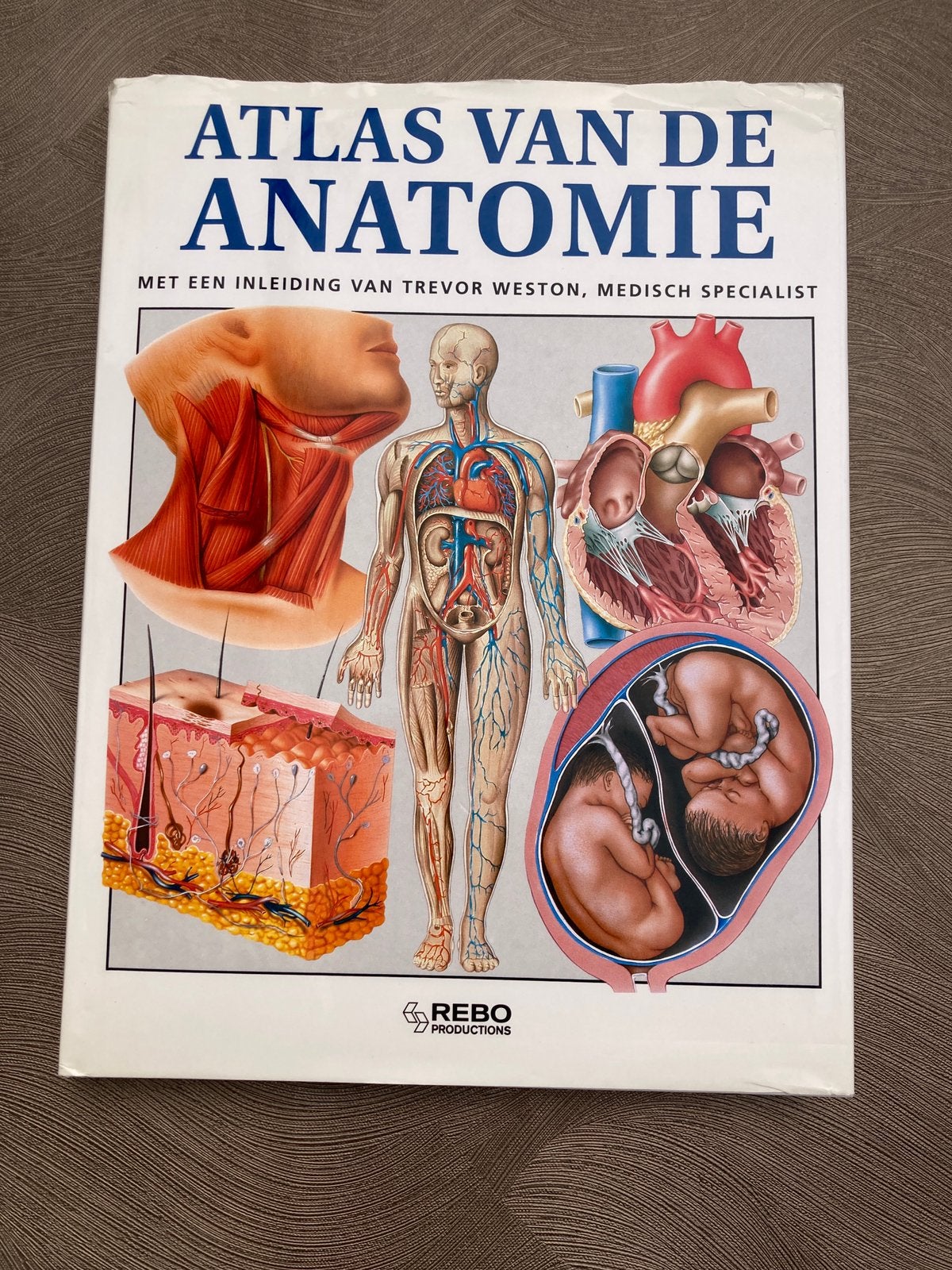 Atlas van de anatomie, Ophalen of Verzenden, Zo goed als nieuw