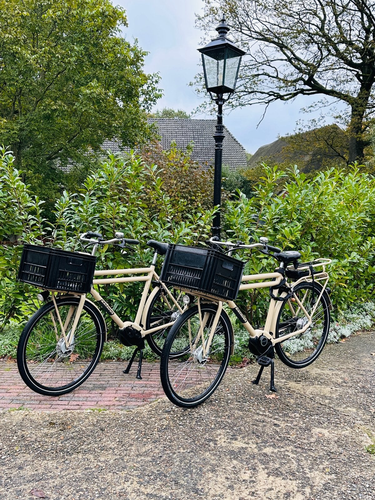 2x Nette Batavus Packd E-go plus: transportfietsen, 59 cm of meer, Ophalen, Zo goed als nieuw, Batavus