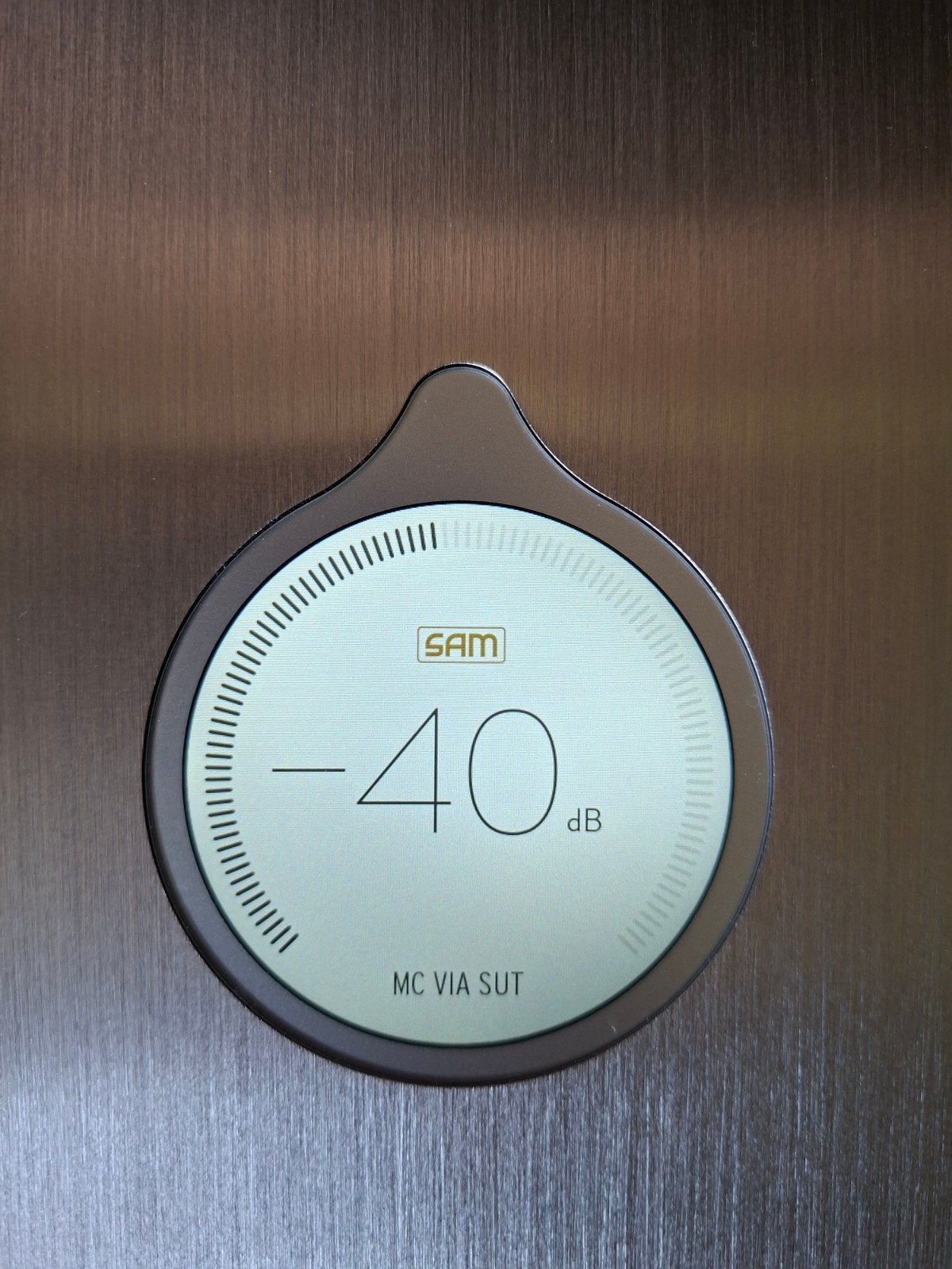 Foto 4 van Devialet Astra