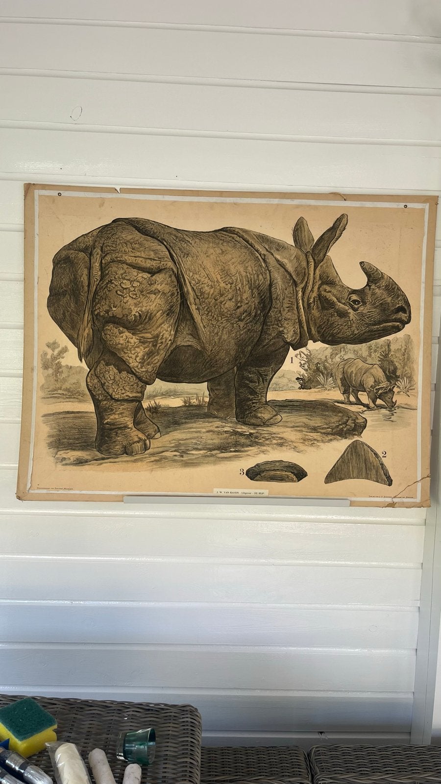Antieke schoolplaat neushoorn - JF Schreiber & JW van Raven, Ophalen of Verzenden, Natuur en Biologie