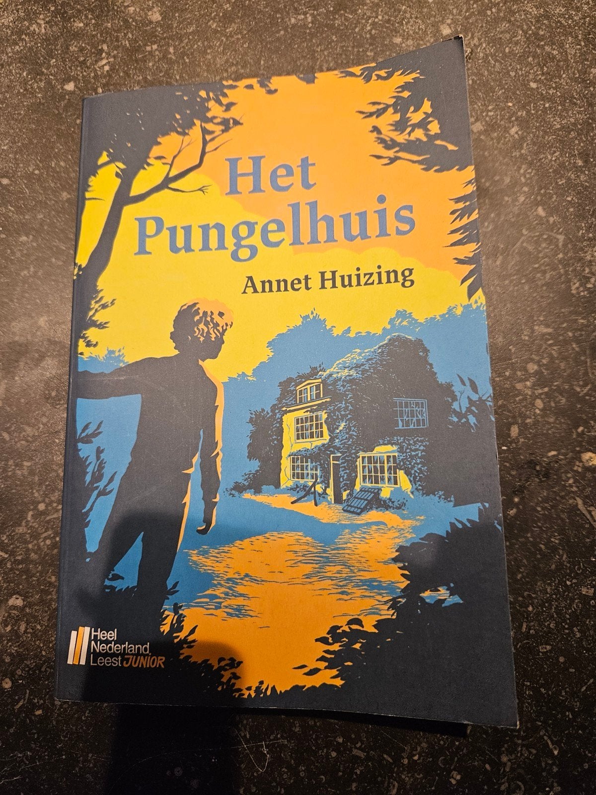 Het Pungelhuis - Annet Huizing (als nieuw), Ophalen of Verzenden, Zo goed als nieuw, Annet Huizing, Fictie algemeen