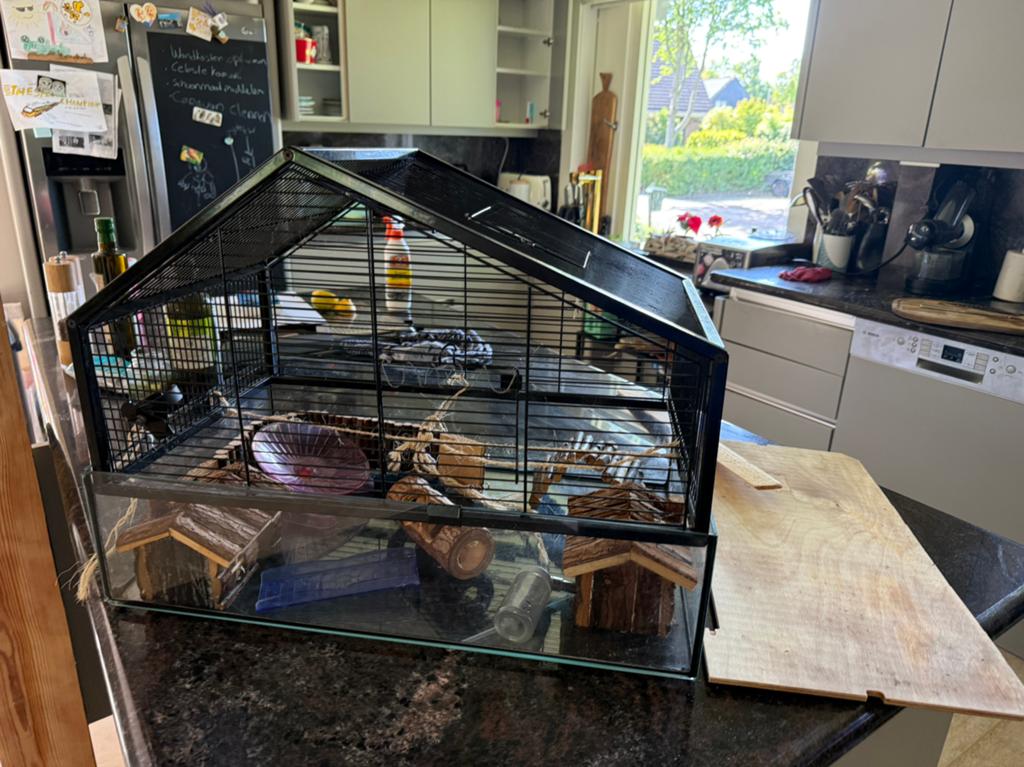 Beeztees glazen hamsterverblijf / knaagdierenhok, Dieren en Toebehoren, Knaagdieren en Konijnen | Hokken en Kooien, Minder dan 60 cm