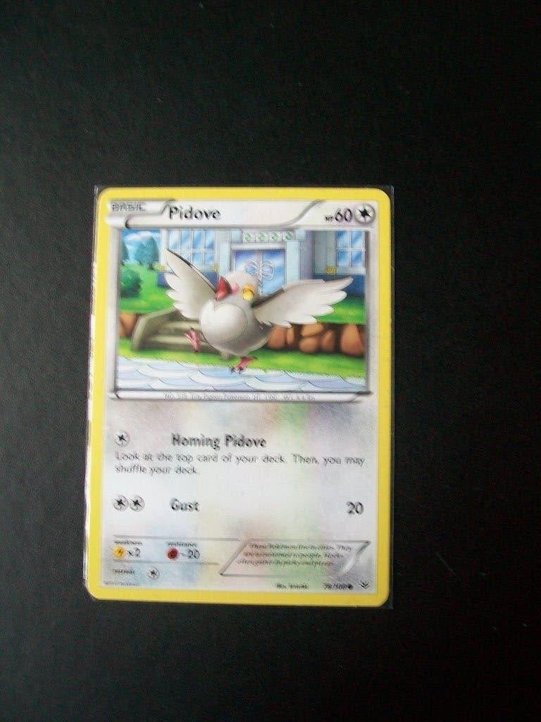 4002. Nieuwe Pokemon Kaart PIDOVE hp 60 (078/108) 2015, Verzenden, Nieuw, Losse kaart