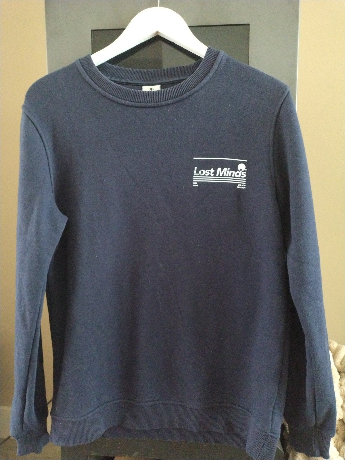 Lost Minds sweater maat S, Kleding | Heren, Ophalen of Verzenden, Gedragen, Blauw, Lost Minds
