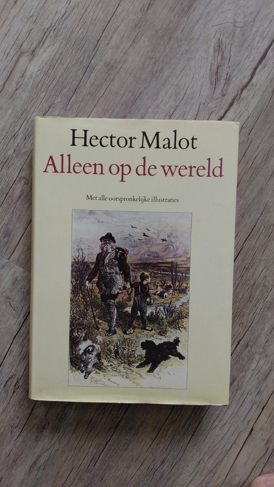 Alleen op de wereld - Hector Malot (Met illustraties), Ophalen of Verzenden, Zo goed als nieuw, Hector Malot, Europa overig