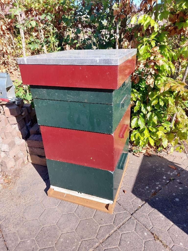 Bijenkasten incl. alle toebehoren (simplex) en ramen 150,-, Bijen