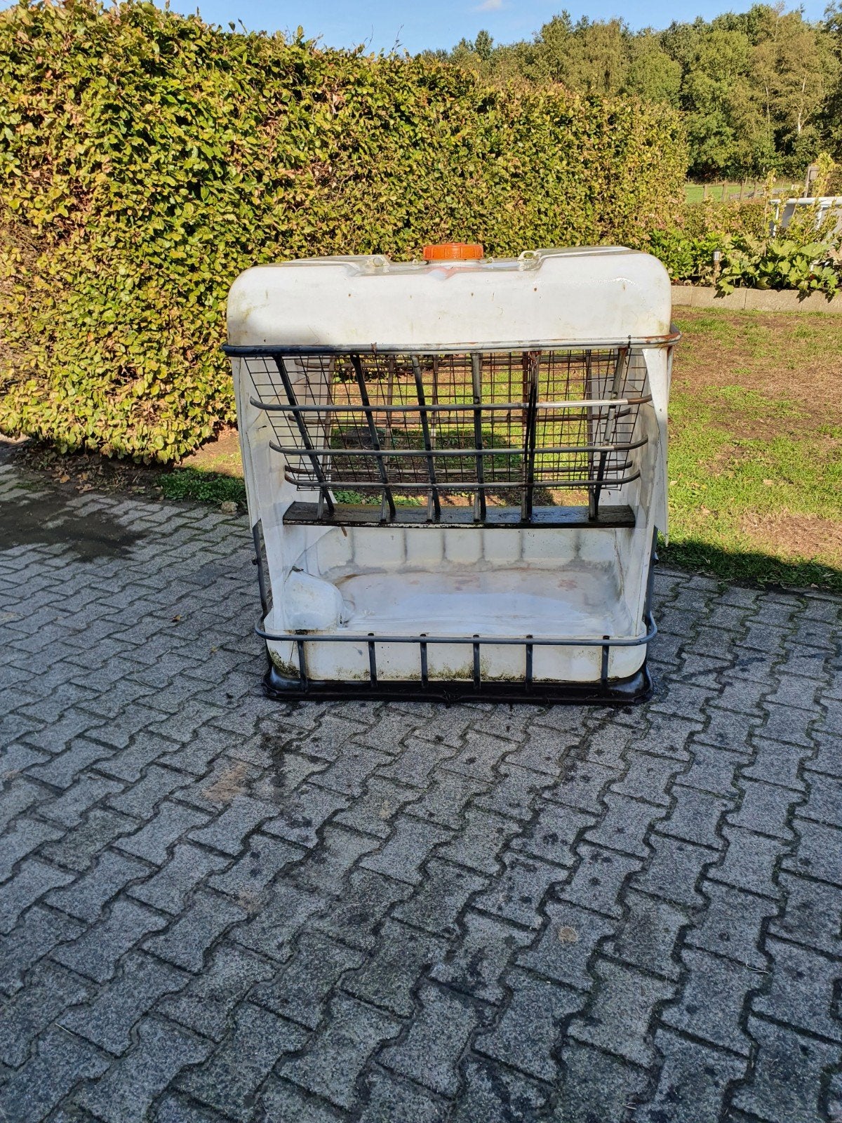 te koop hooiruif, Dieren en Toebehoren, Meerdere dieren, Schaap