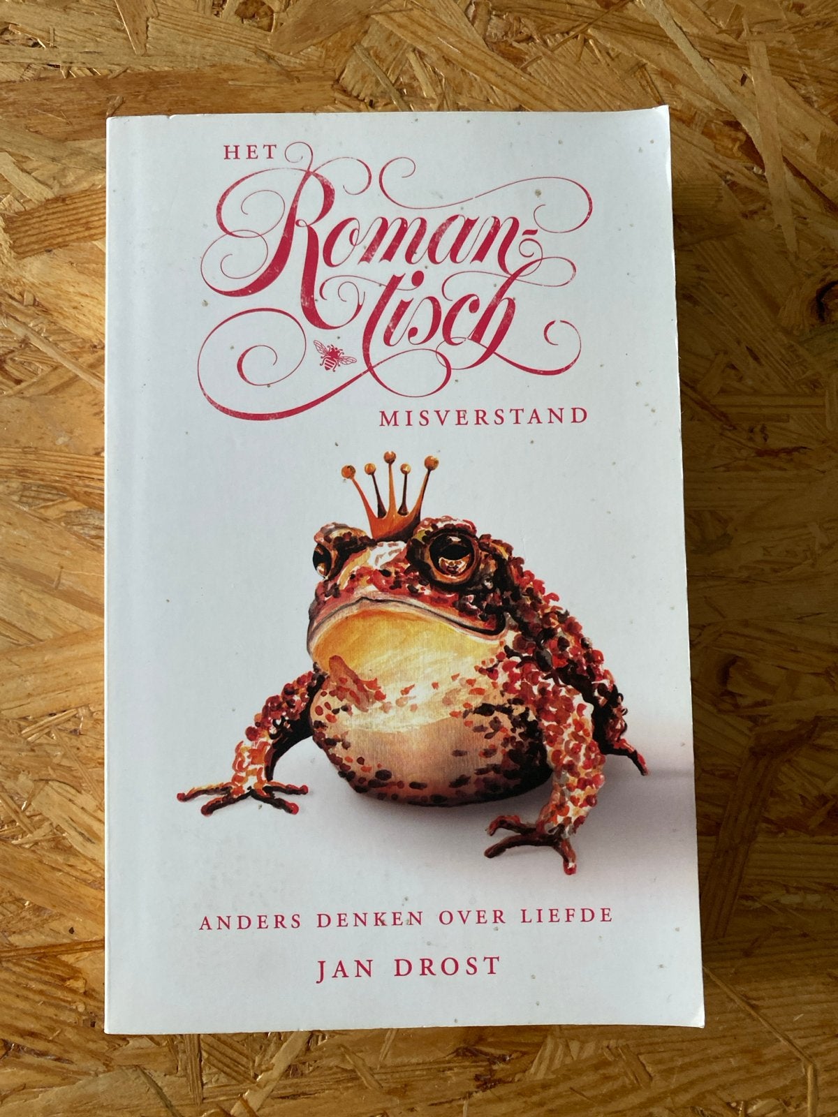 Het Romantisch Misverstand - Jan Drost (Anders Denken over L, Ophalen of Verzenden, Gelezen, Nederland