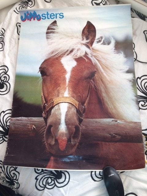 paarden poster uit de jippo jaren 70 80, Ophalen of Verzenden, Gebruikt, A1 t/m A3, Dier of Natuur