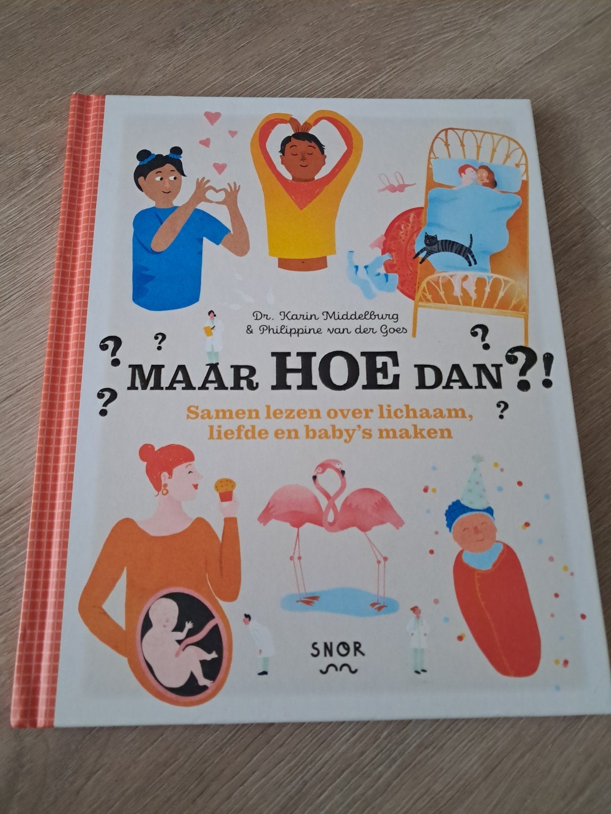 Karin Middelburg - Maar HOE dan?!, Boeken, Non-fictie, Karin Middelburg; Philippine van der Goes, Ophalen of Verzenden, Zo goed als nieuw