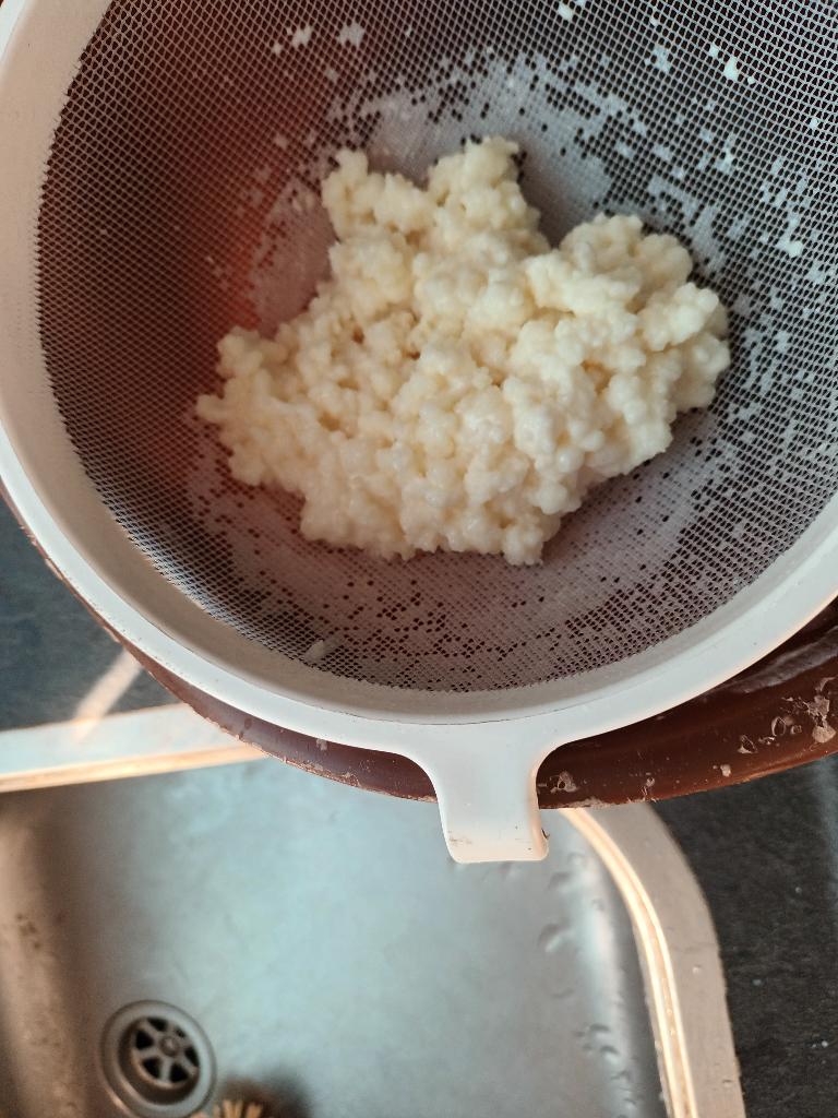 Melkkefirkorrels, Diversen, Levensmiddelen, Ophalen