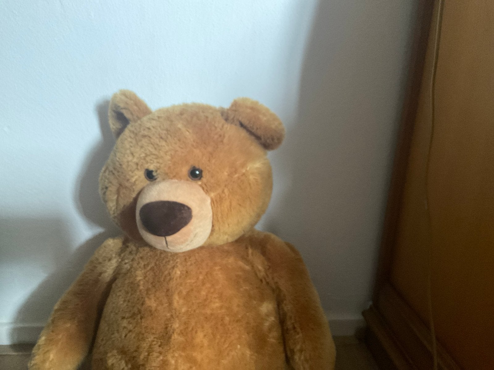 Grote bruine teddybeer - Zo goed als nieuw, Beer, Ophalen of Verzenden, Zo goed als nieuw, Middelgroot (20 tot 80 cm)