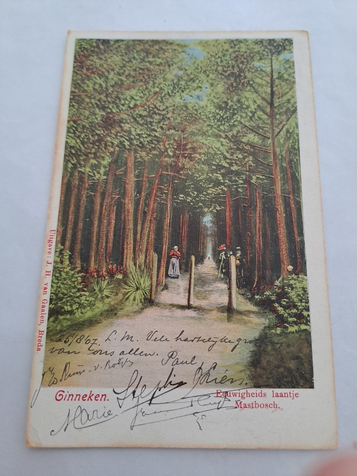 Breda, Eewigheidslaantje Mastbosch, Ophalen of Verzenden, Voor 1920, Noord-Brabant