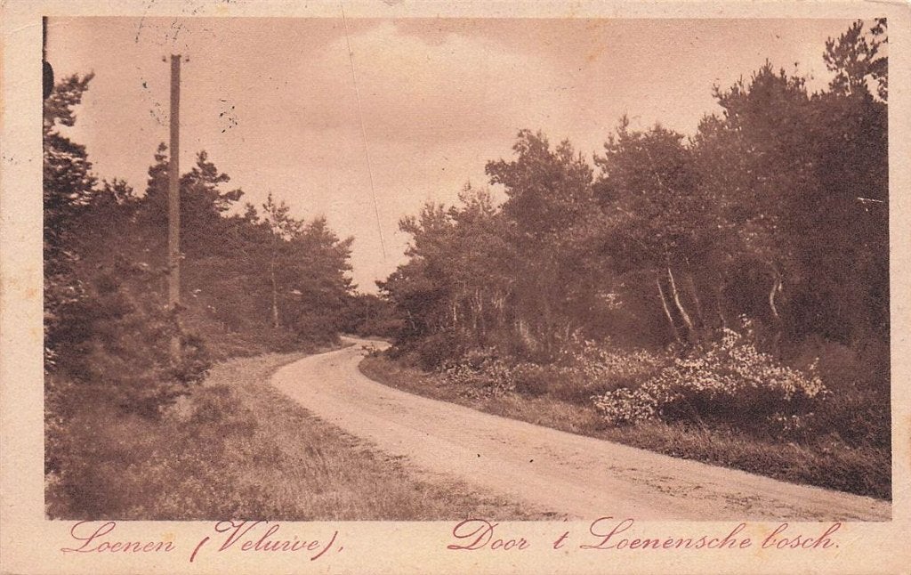 702-190-017 Loenen (Veluwe) Door'T Loenensche Bosch, Verzenden, Voor 1920, Gelderland