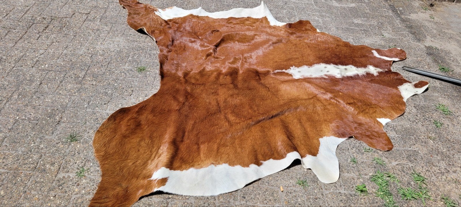 IKEA Koldby koeienhuid vloerkleed bruin/wit, Ophalen, Gebruikt, Natuurlijk, modern, landelijk, 150 tot 200 cm