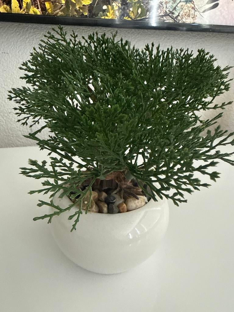 Kleine kunstplant in witte pot, Binnen, Groen, Kunstplant, Ophalen of Verzenden