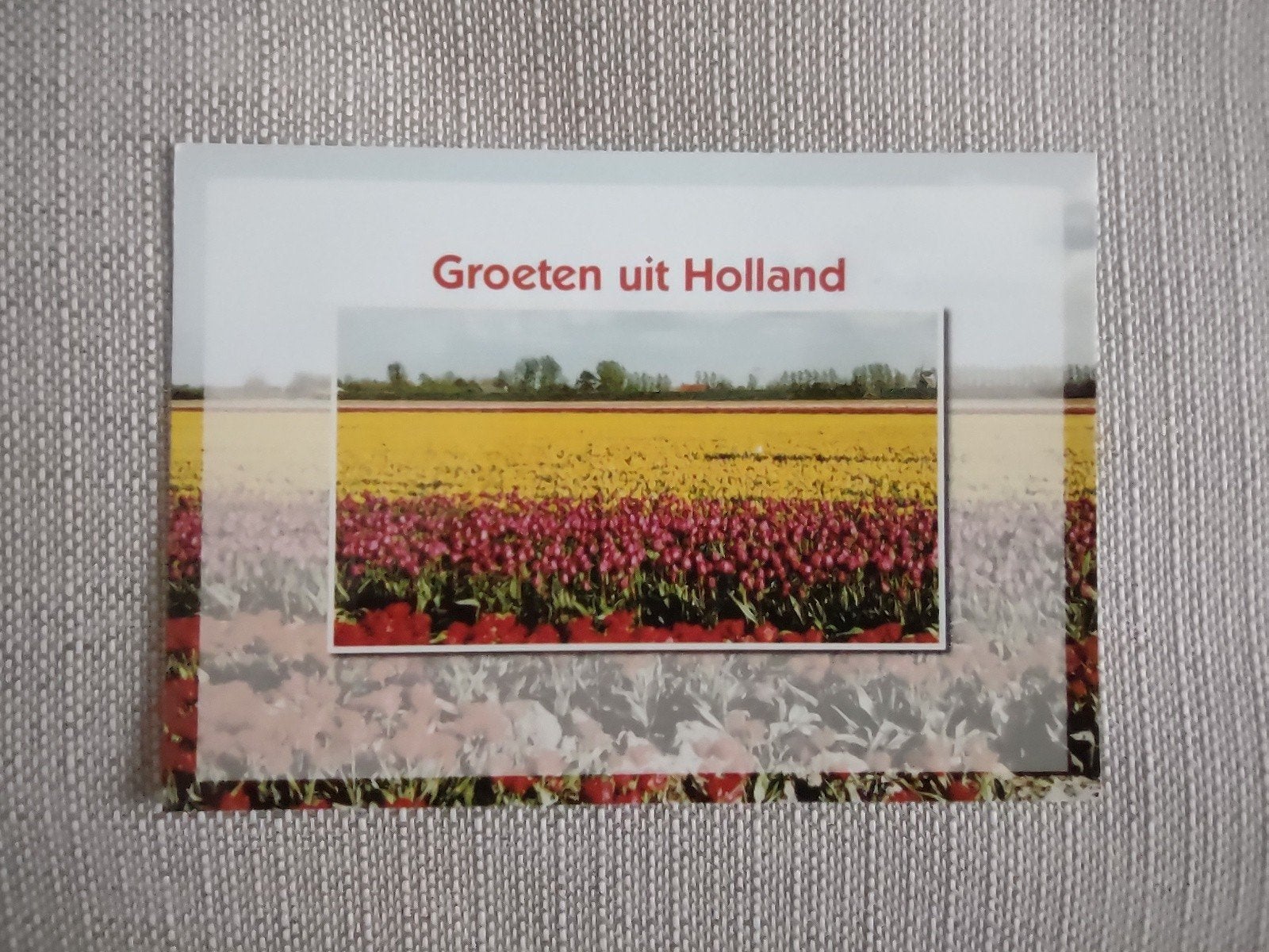 Partij mooie ansichtkaarten; Holland, bollen. Postcrossing, Ophalen of Verzenden, Nieuw, Overige thema's