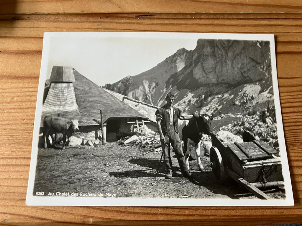 Ansichtkaart Frankrijk ossenkar rochers de naye, Ophalen of Verzenden, Frankrijk