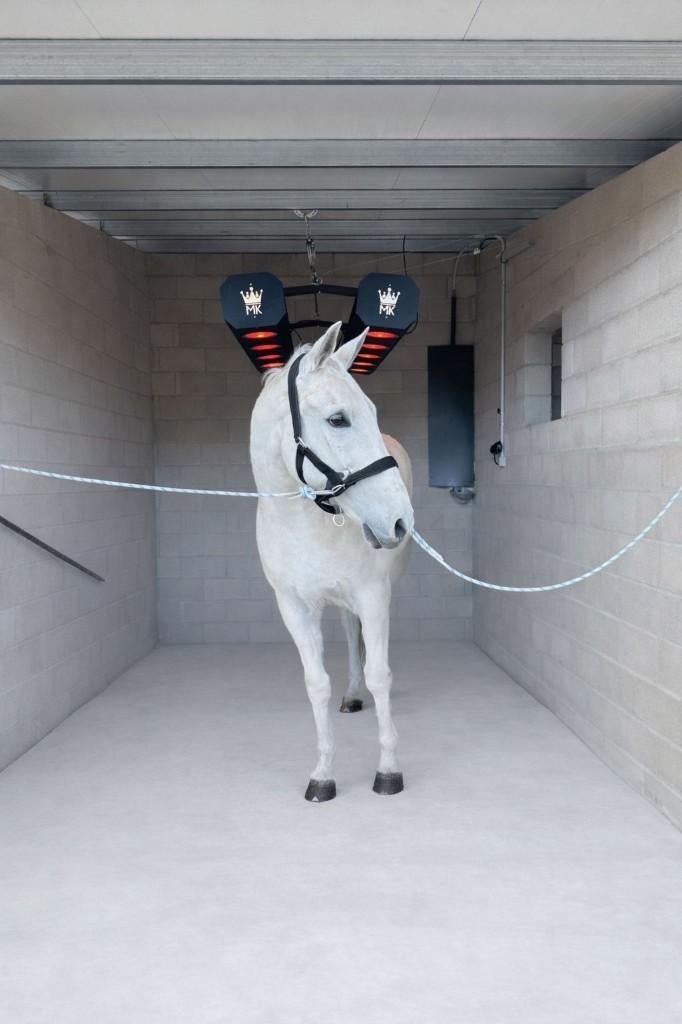 MK infrarood Compact Solarium voor paarden €875 ,- excl.BTW, Ophalen, Nieuw