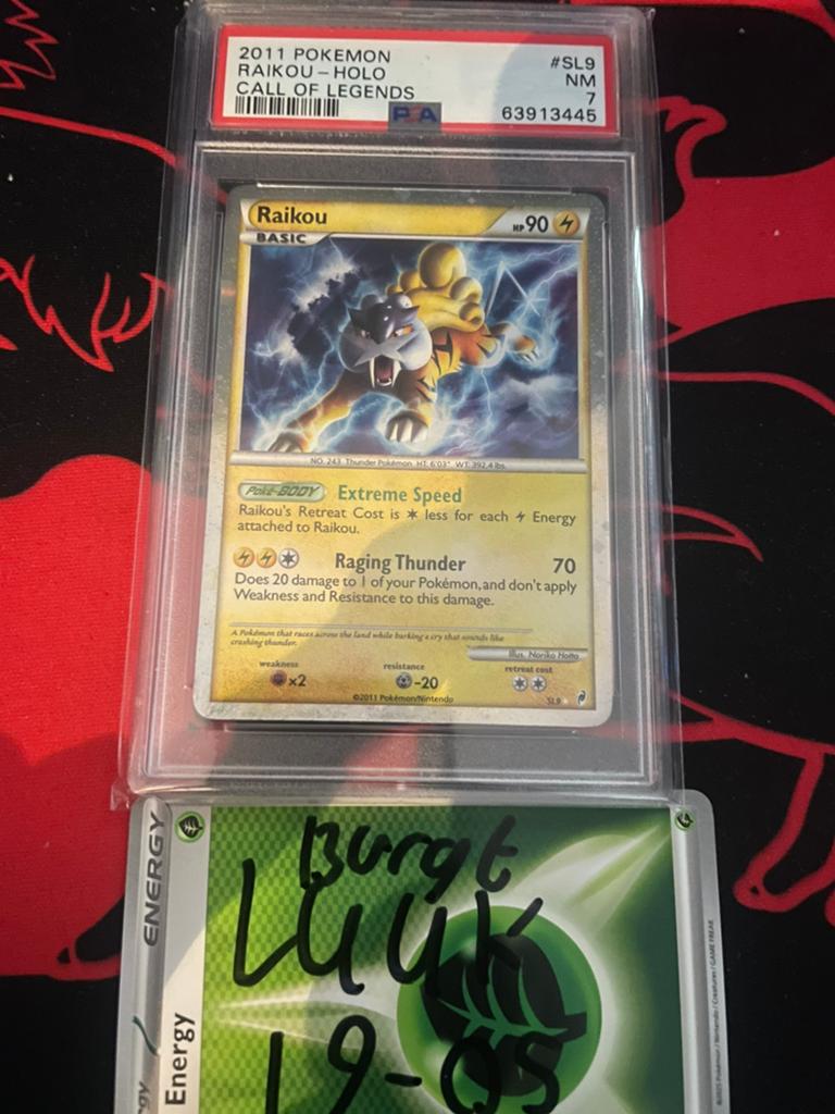 Raikou psa 7 call of legends, Ophalen of Verzenden, Zo goed als nieuw