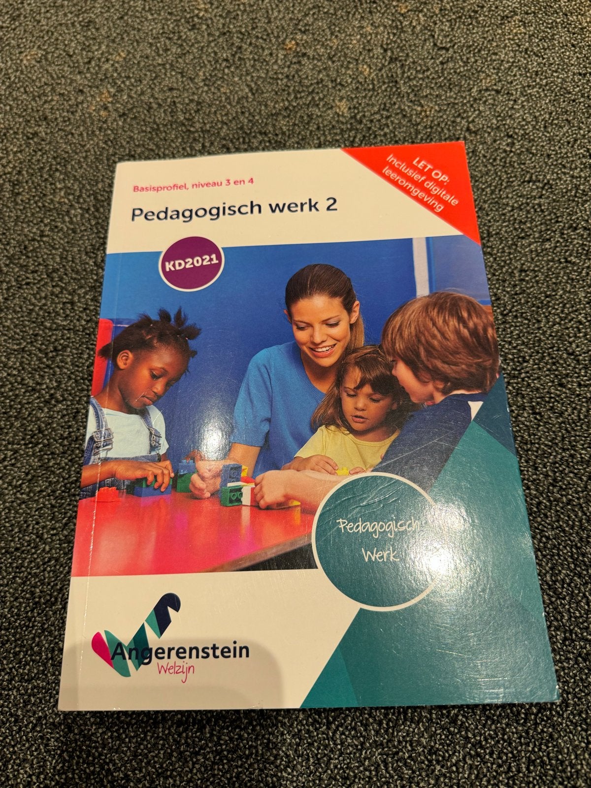 Pedagogisch Werk 2 - Basisprofiel niveau 3 en 4, Boeken, Studieboeken en Cursussen, Ophalen of Verzenden, Gamma, Zo goed als nieuw