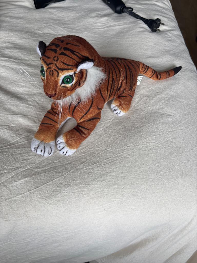 Tijger knuffel - Gratis af te halen, Ophalen, Zo goed als nieuw, Oranje, Tijger