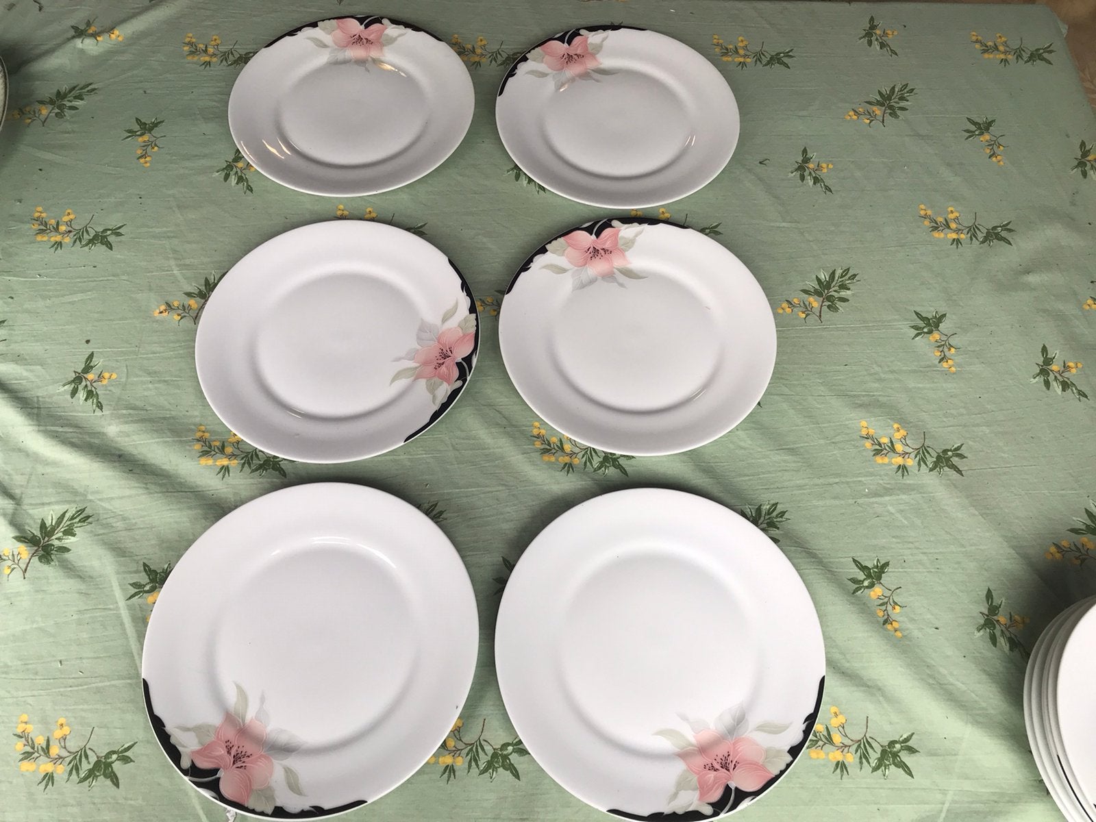 Alt Regensburg,6 diner borden,vintage,doorsnee 26 cm,hoog2cm, Ophalen of Verzenden