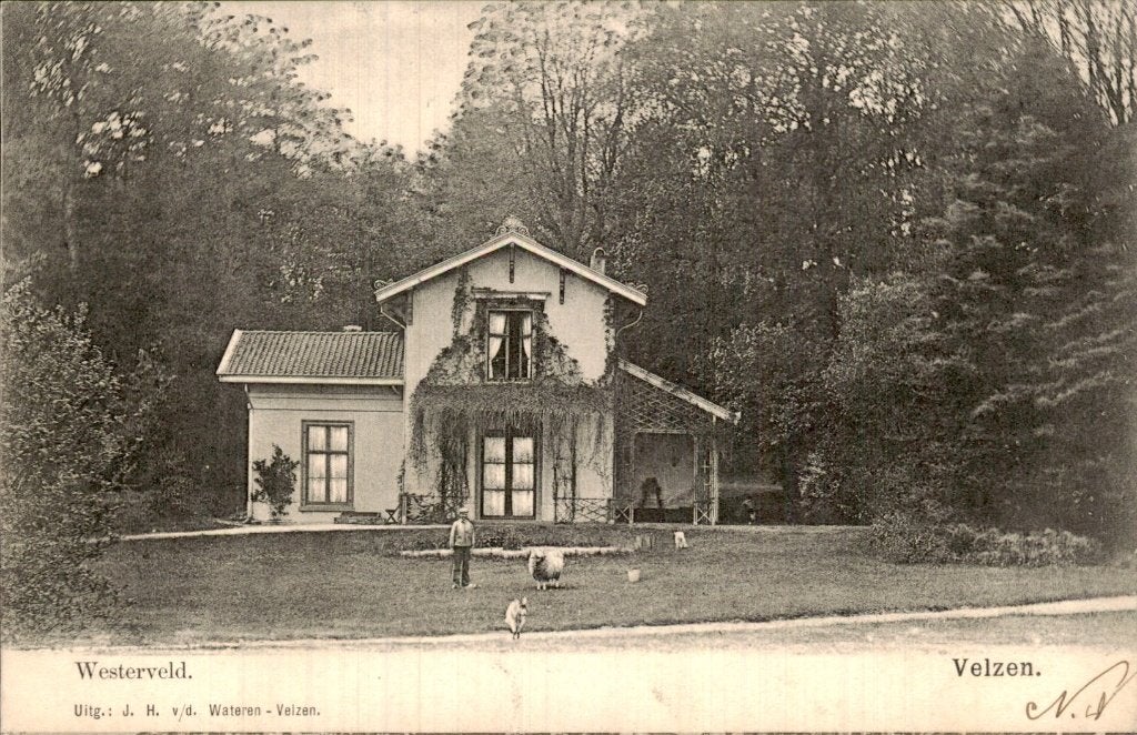 Velzen - Westerveld - Huis, Ophalen of Verzenden, Voor 1920, Gelopen, Noord-Holland