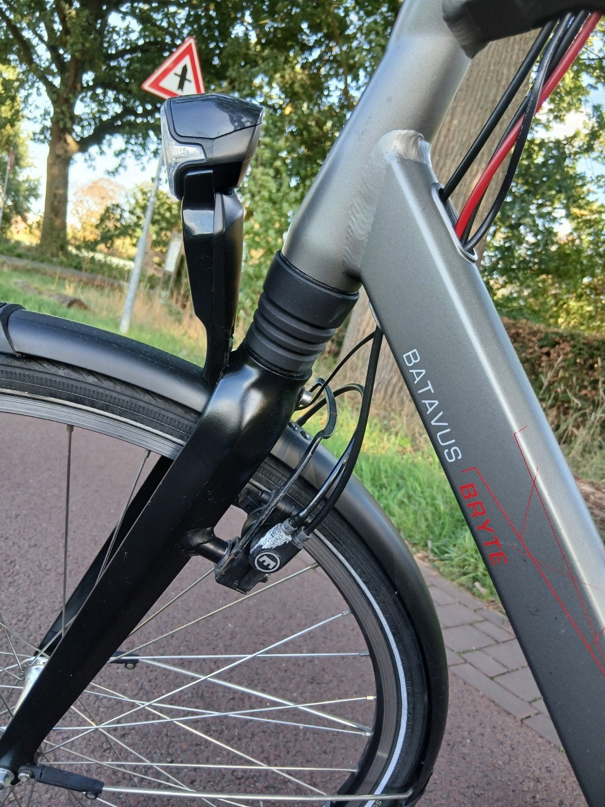 BATAVUS BRYTE ELEKTRISCHE HERENFIETS IZGST !