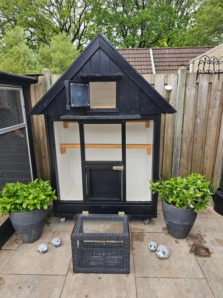Duiven hok met spoetnikje en verlichting, Meerdere dieren, Postduif