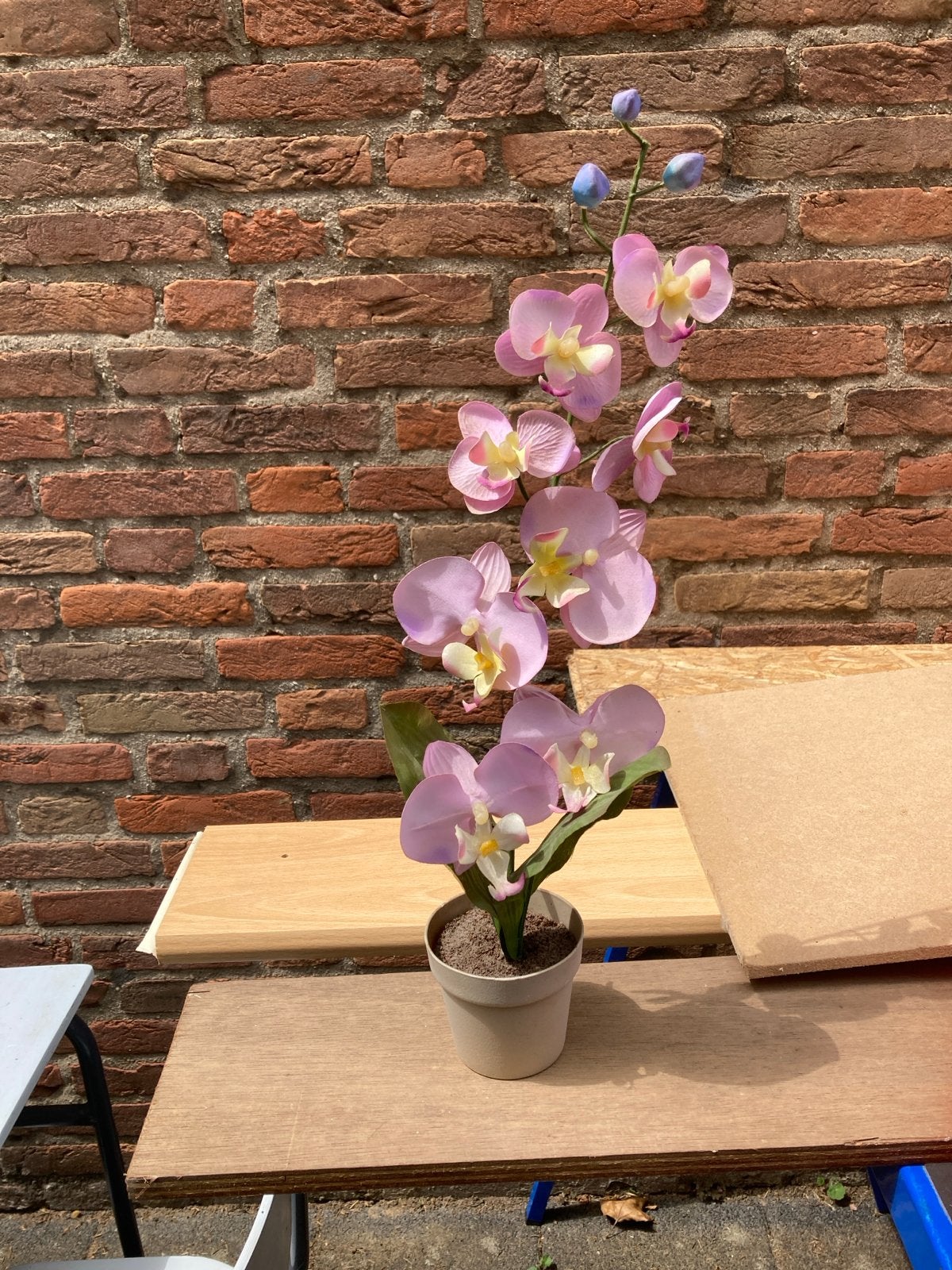 Kunststof bloem - Roze Orchidee in pot, Ophalen, Binnen, Roze, Kunstbloem