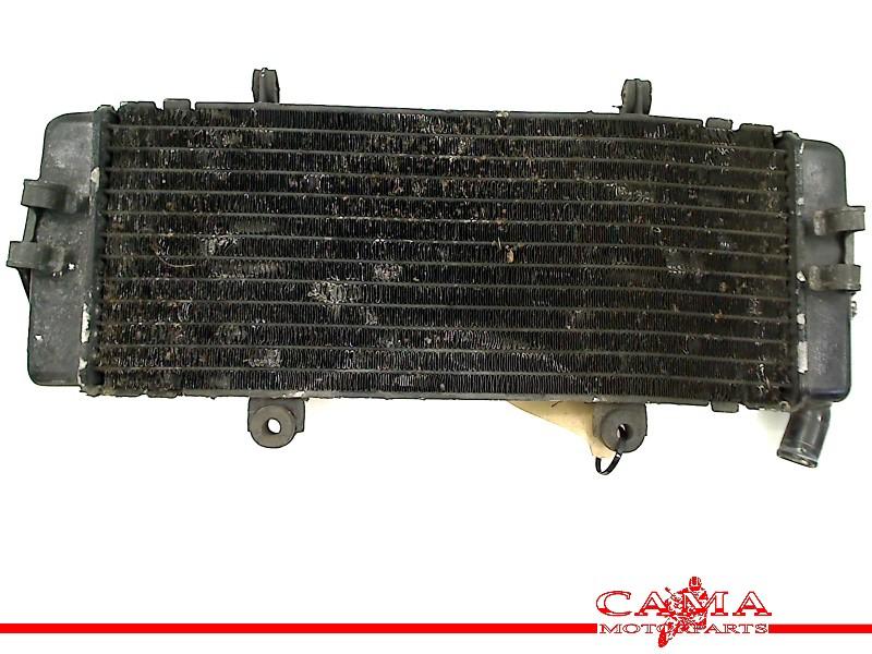 Radiateur CBR 600 F 1987-1990 (CBR600F CBR600F1 PC19/23), Honda, Gebruikt, Hanauer Landstraße  222-224, Frankfurt am Main 60314, , Duitsland