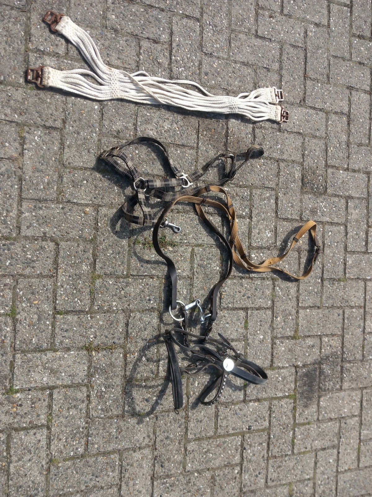 hoofdstel, singel en halster, Dieren en Toebehoren, Paarden en Pony's | Hoofdstellen en Tuigage, Ophalen, Gebruikt, Hoofdstel