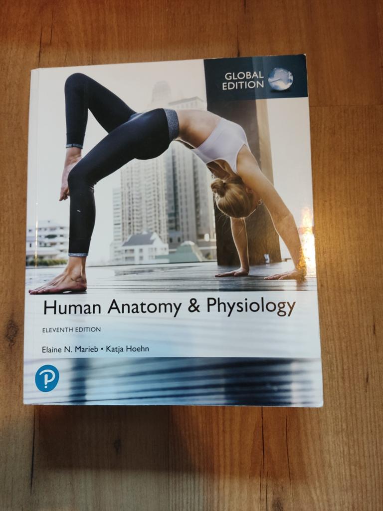 Human Anatomy & Physiology - Elfde Editie (Global Edition), Elaine N. Marieb, Katja Hoehn, Ophalen of Verzenden, Beta, WO