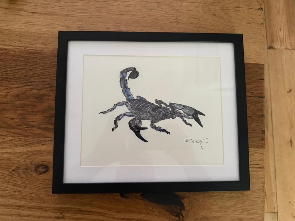 Handgeschilderde Schorpioen - Spaanse Kunstenaar - In Lijst, Antiek en Kunst, Ophalen of Verzenden